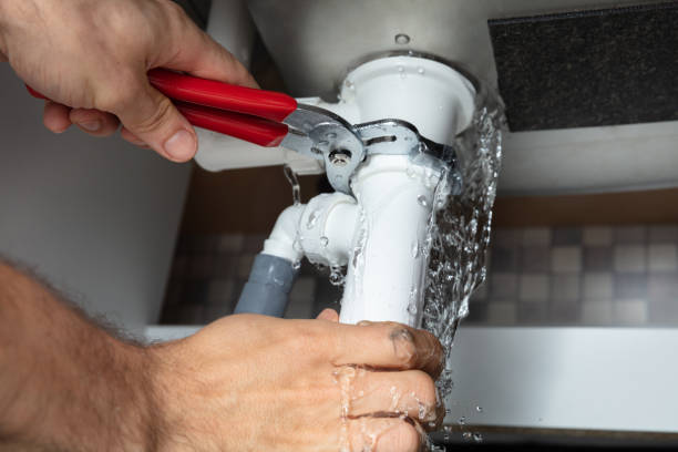 Best Water damage contractors near me  in Lake Zurich, IL