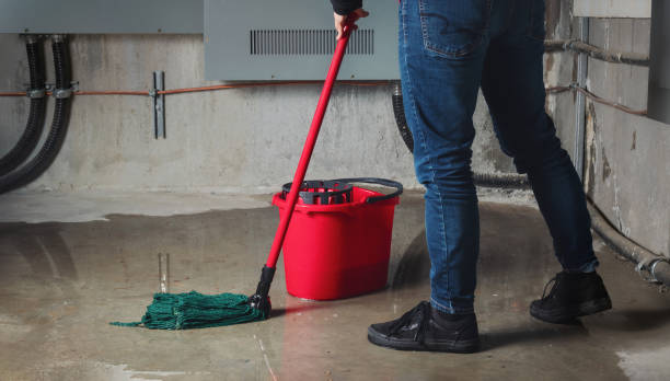 Best Sewage cleanup and water damage restoration  in Lake Zurich, IL
