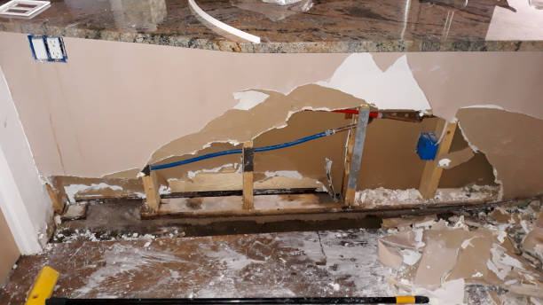 Best Water damage contractors near me  in Lake Zurich, IL