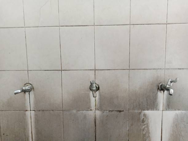 Best Carpet water damage restoration  in Lake Zurich, IL