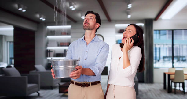 Best 24/7 water damage repair  in Lake Zurich, IL